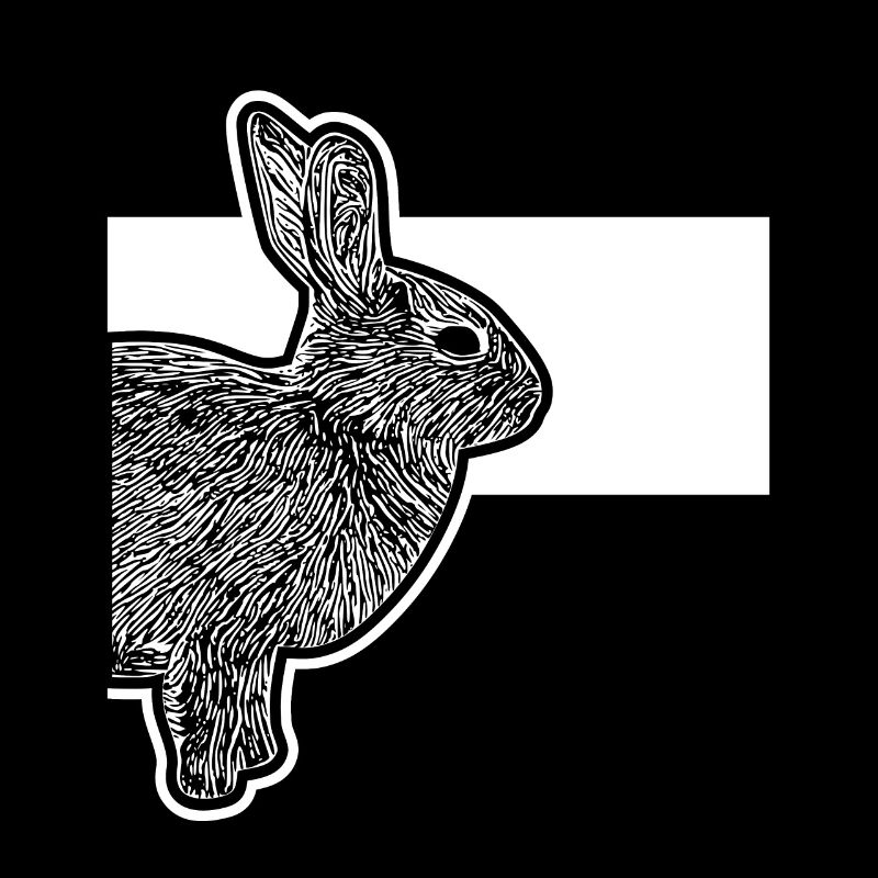 Lapins nains mignons Lapins Lapins