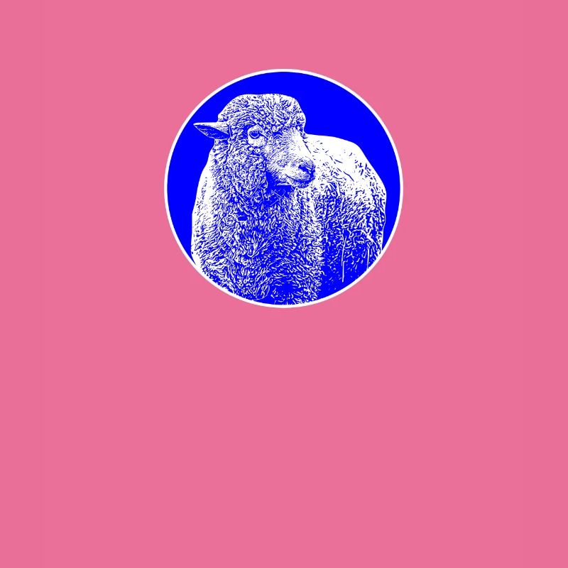 Merinoschaf Schafbock