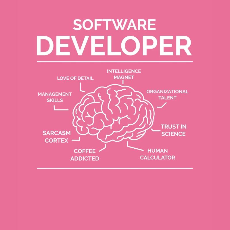 Software Entwickler