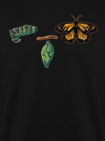 Evolution butterfly