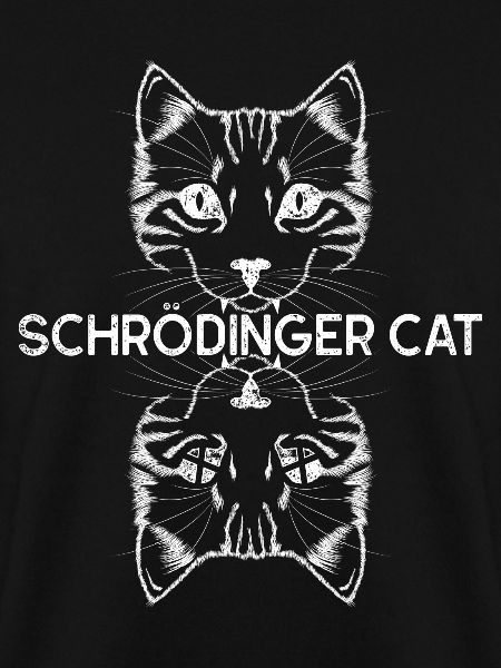 Quantentheorie Schrödingers Katze