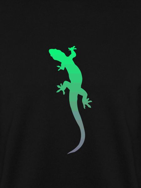 Gecko Salamander Echse