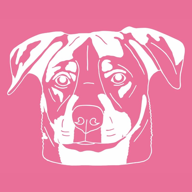 Schäferhund Mix