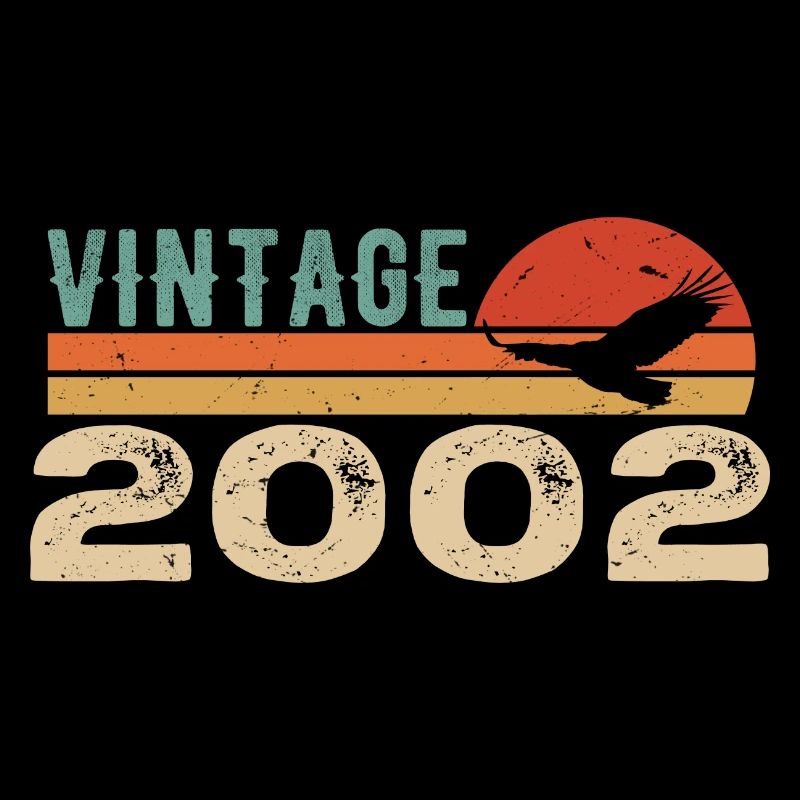 Vintage 2002 Retro 2002 Birthday Gift