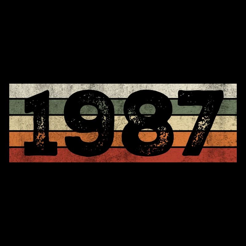 Millésime 1987 Cadeau D’anniversaire Rétro 1987