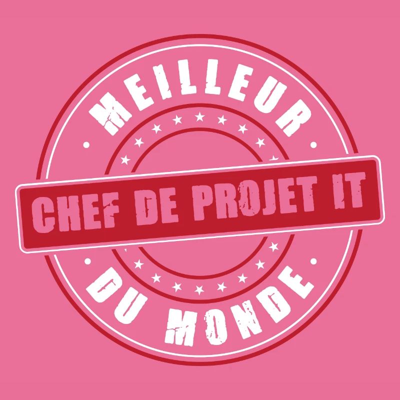 Meilleur Chef de projet IT profession informatique