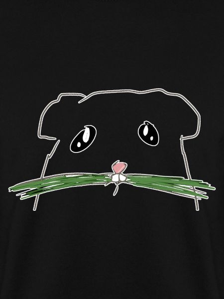hamster rodent