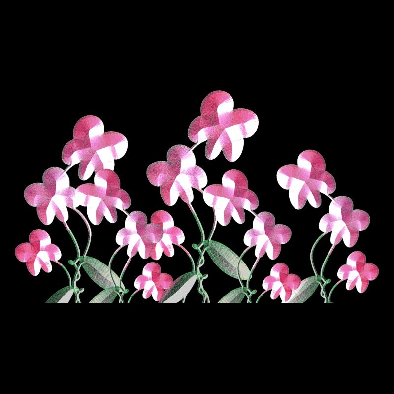 pinke blumen pflanzen blume