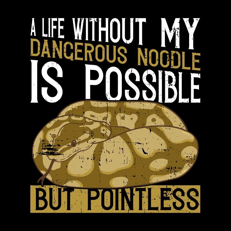 Banane Ballpython Königspython