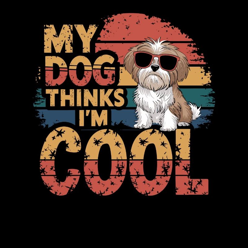 Shi shitzu mon chien pense que je suis cool