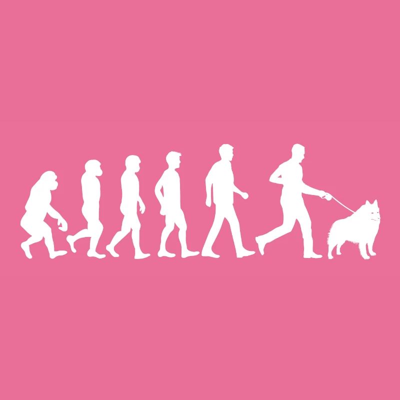 Schipperke Hund Evolution Hundebesitzer