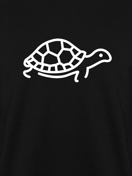 Schildkröte Haustier Tier Meer