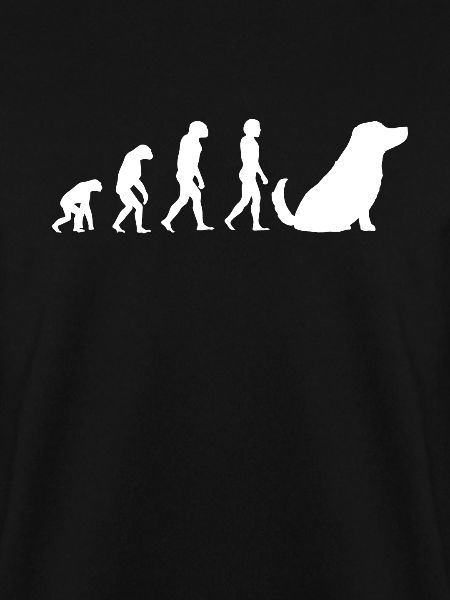 Hunde Haustier Evolution Hundebesitzer