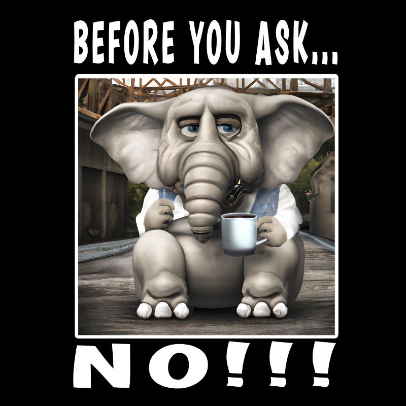 Before you ask no
