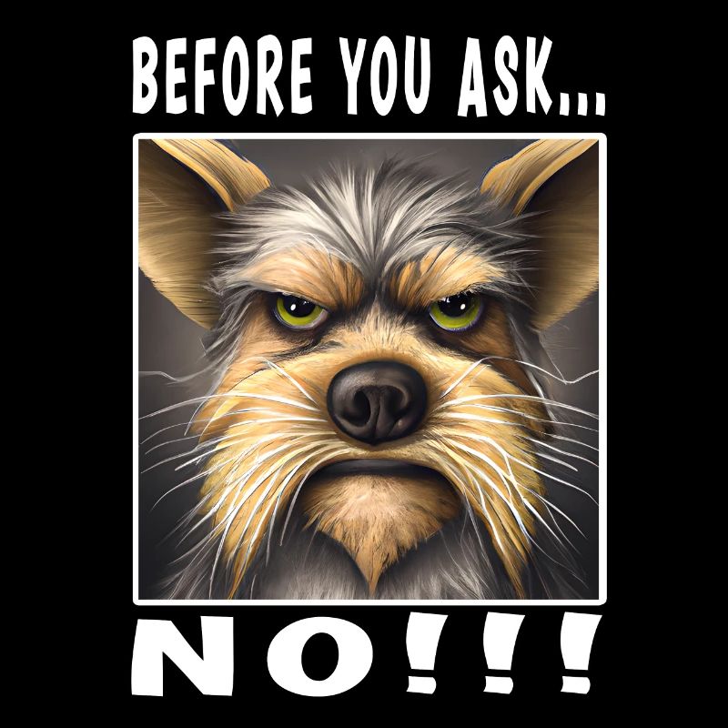 Before you ask no
