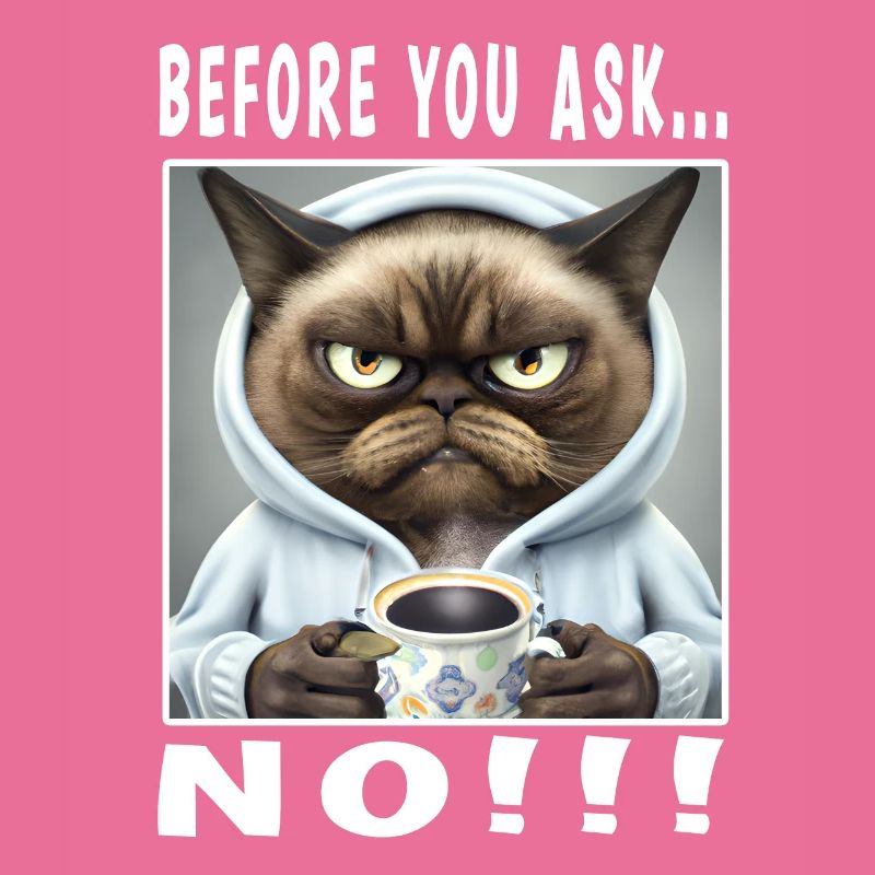 Before you ask no