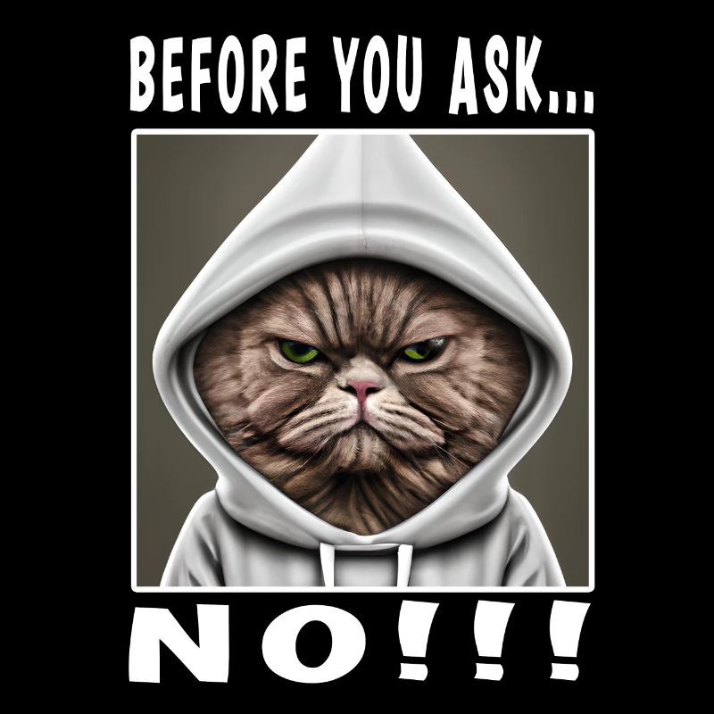 Before you ask no