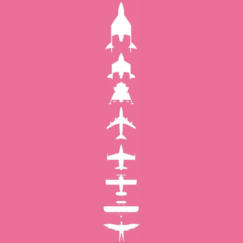 Evolution des Fliegens