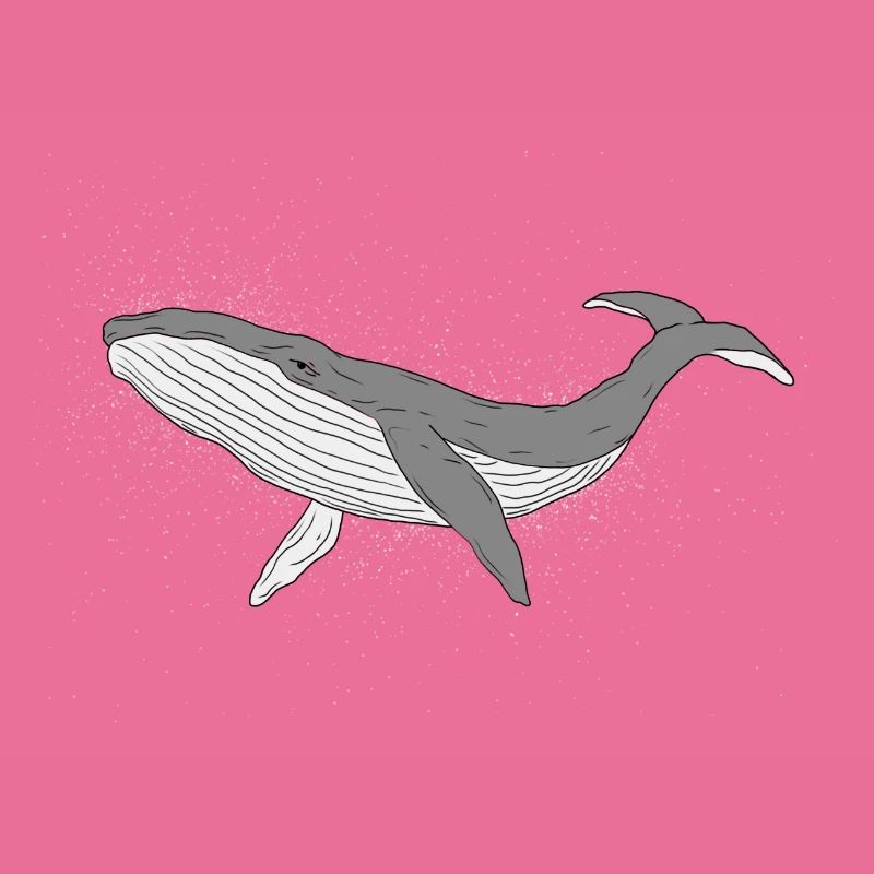 Sparkly whale