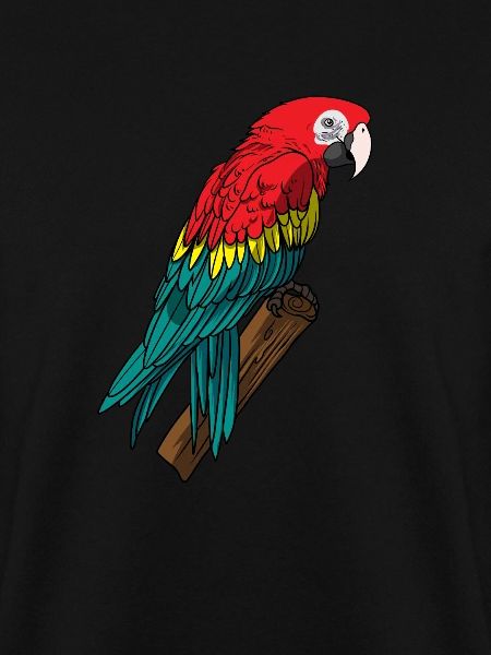 Parrot
