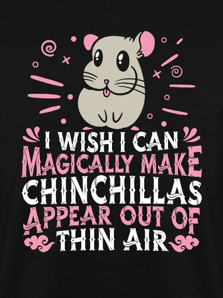 Chinchilla