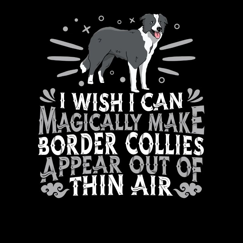 Border Collie Chien