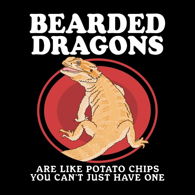 Cadeau reptiles dragons barbus