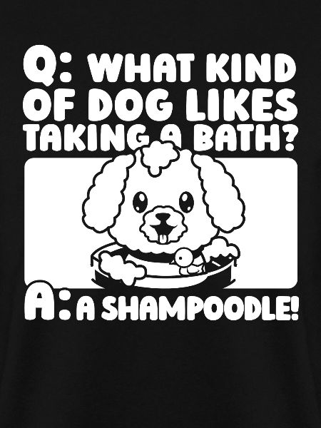 Hundetrainer Hundetrainer