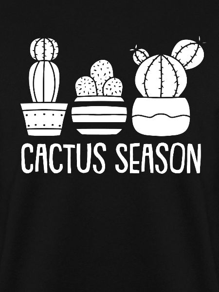 Kaktus Garten Kaktus