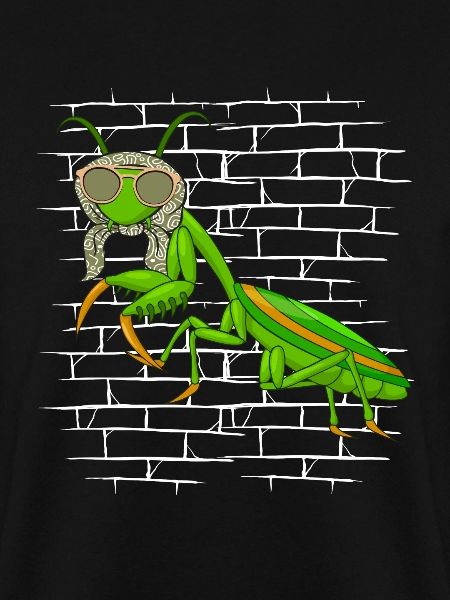 Mantis Gottesanbeterin Sonnenbrillenschal