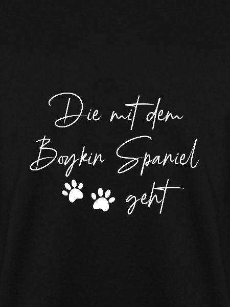 Boykin Spaniel