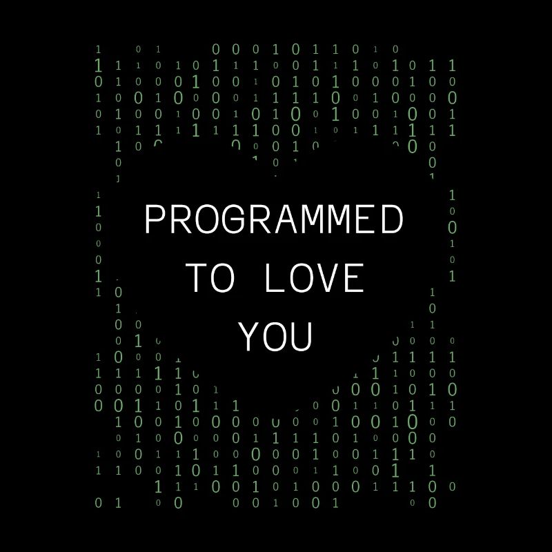 Developer Coder Programmer