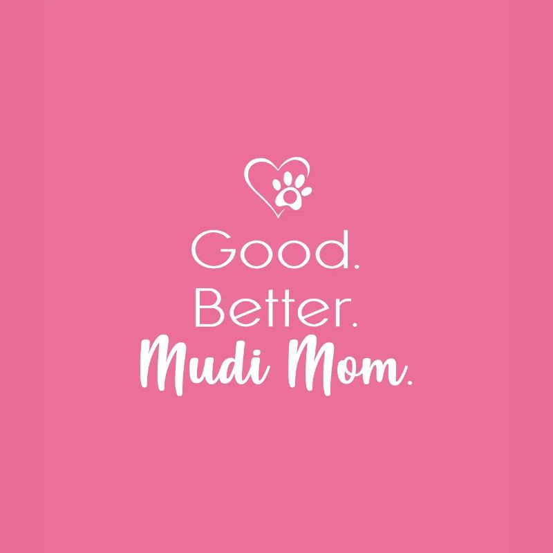 Mudi