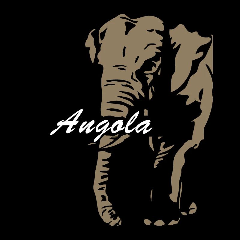 Angola - Elefant