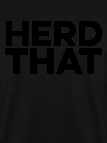 Pferd Reitsport