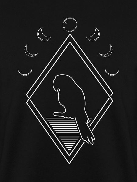 Papagei Moon Phases