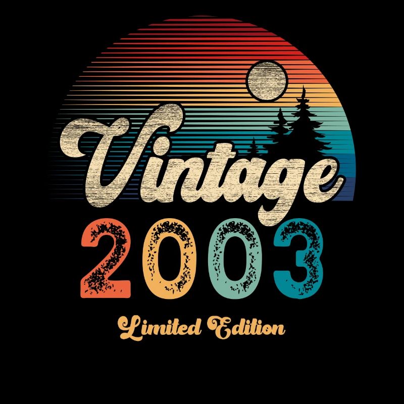 Vintage 2003 Geburtstag Retro