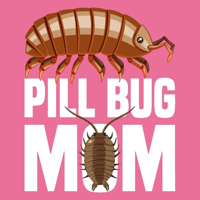 Pilule Bug Maman Isopode Mama Entomologiste Rollie Polli
