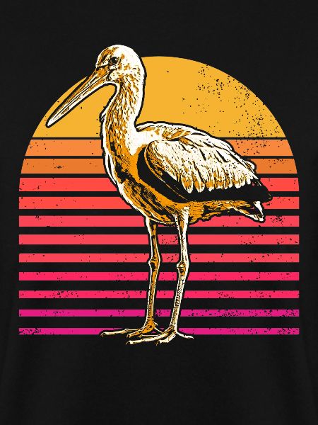 Stork