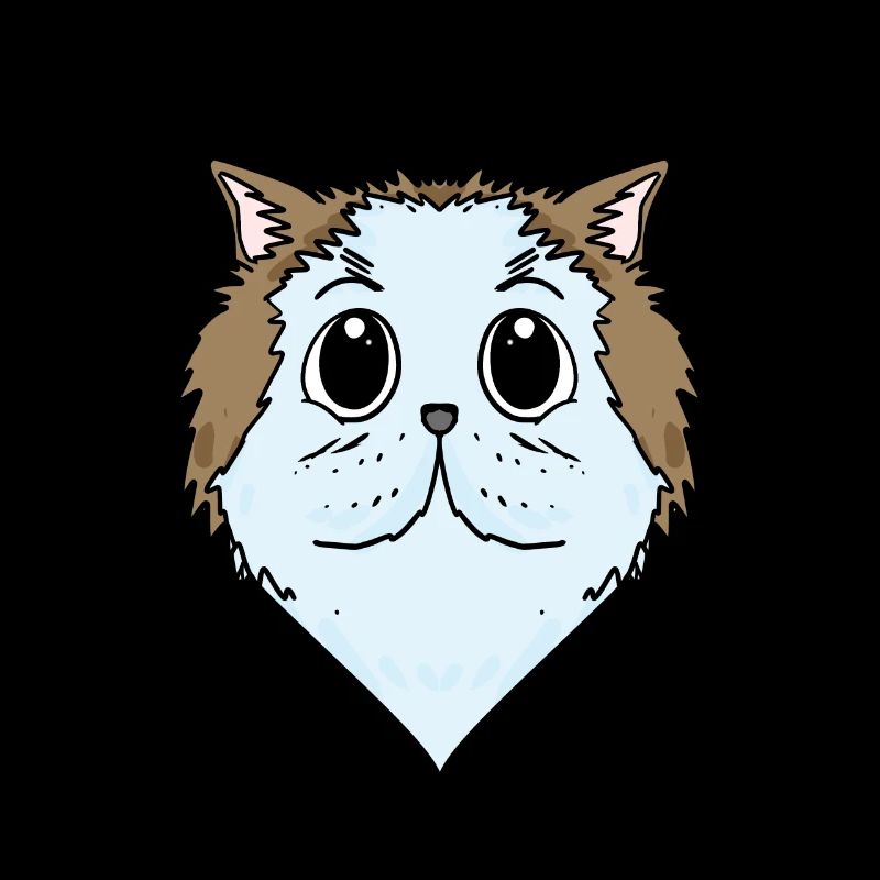 Chat persan Chat Race Chat