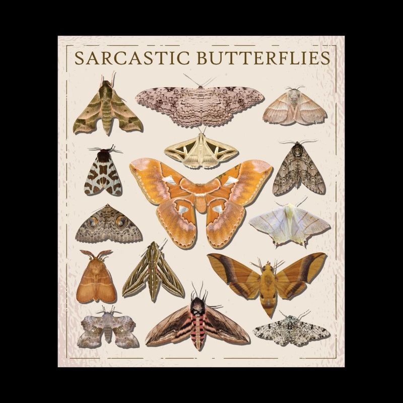 Catalogue The Sarcastic Butterfly Moth