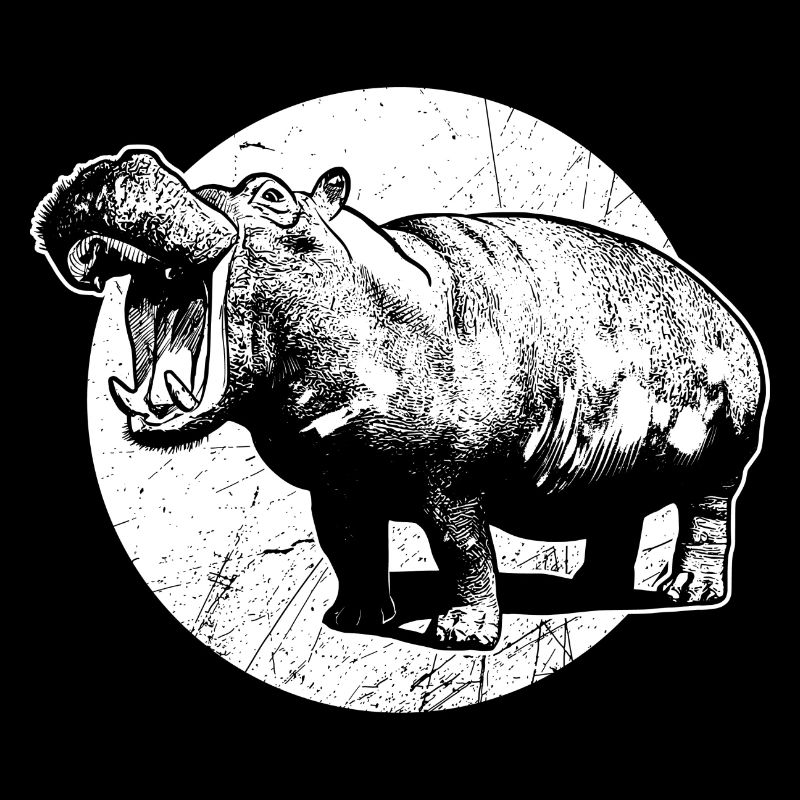 Hippopotamus Hipo wilderness roar hippo