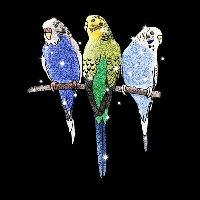 Budgerigar parakeet bird parrot animal