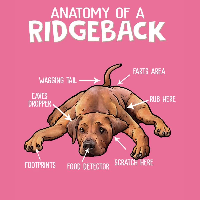 Rhodesian Ridgeback