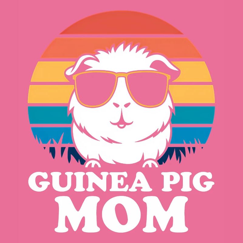 Dicton de cochon d’Inde, Cadeau de cochon d’Inde