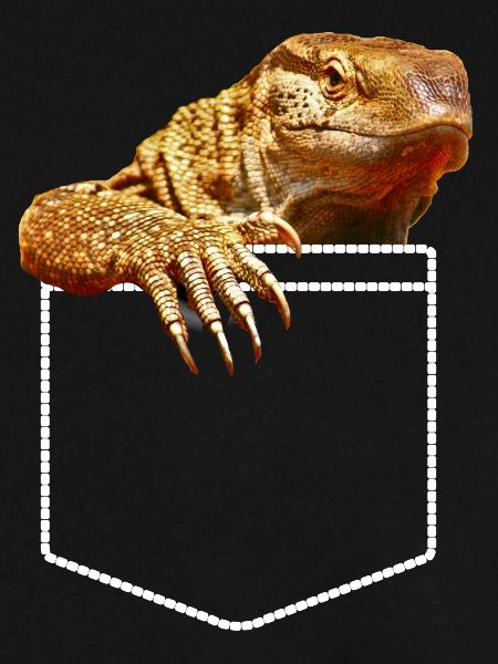 Savannah Monitor Eidechsentasche