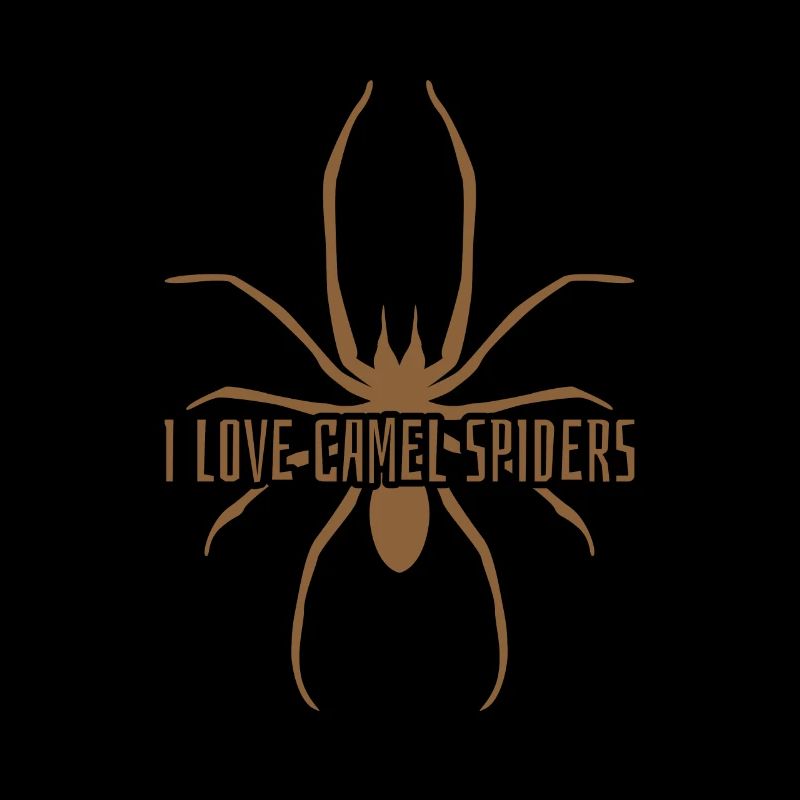 Araignée araignée j’aime les chameaux camel spider