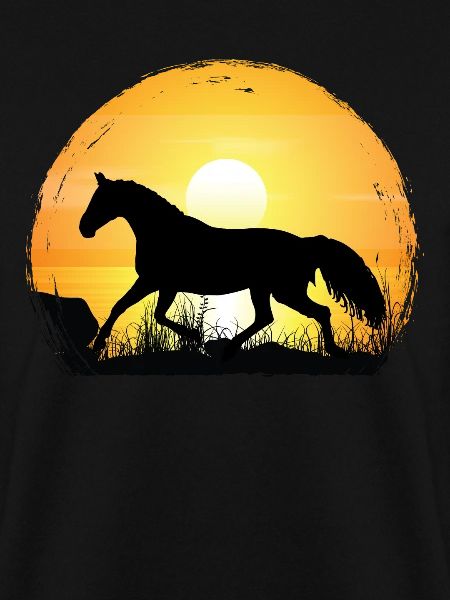 Sonnenuntergang - Warmblut Pferd