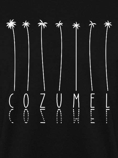 Palme - Yucatan -Halbinsel Cozumel