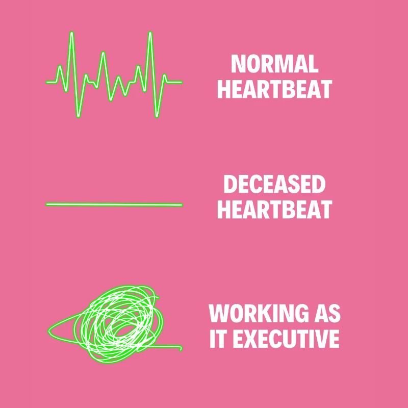 IT Executive Worker IT Computer